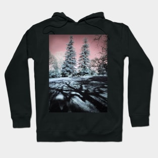 Trees and Shadows Hoodie